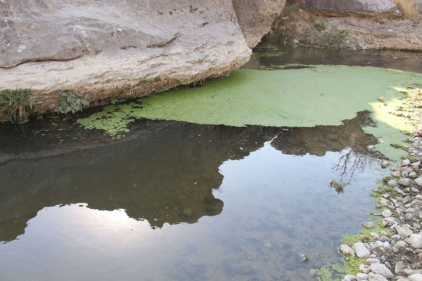 Dicle Nehri’ne dökülen Ambar Çayı tehlike saçıyor